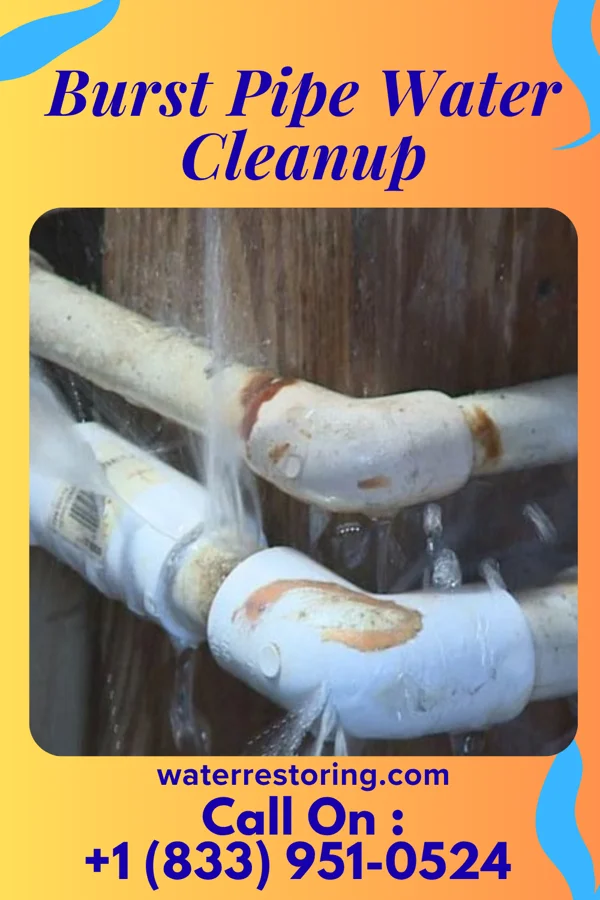 Burst Pipe Water Cleanup in Plymouth, MI