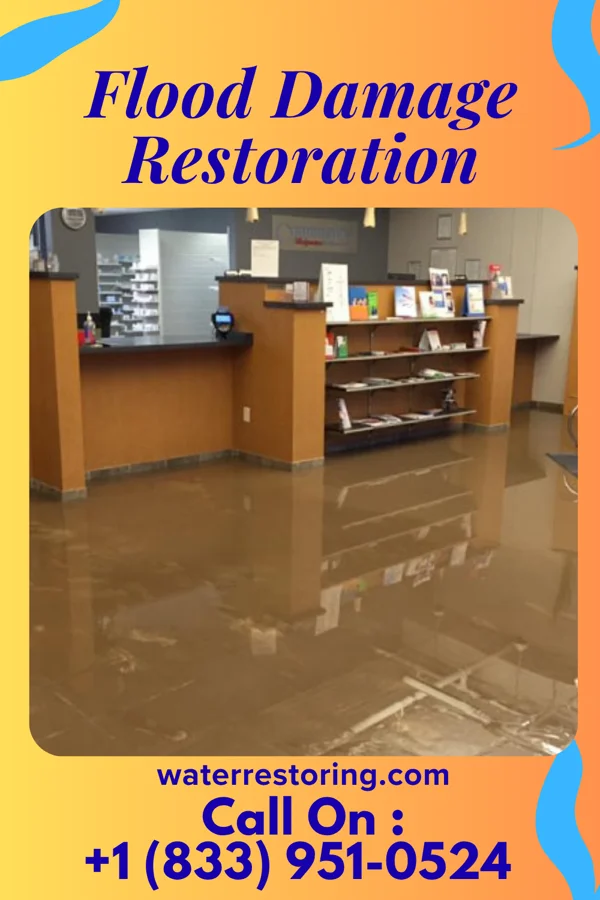 Flood Damage Restoration in Plymouth, MI