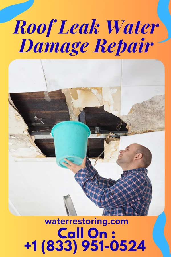 Roof Leak Water Damage Repair in Plymouth, MI