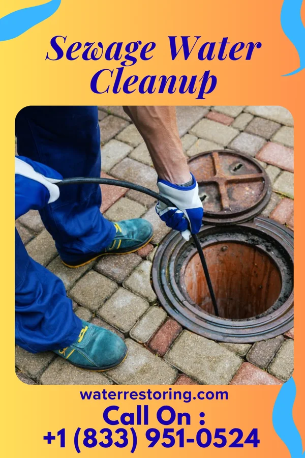 Sewage Water Cleanup in Plymouth, MI