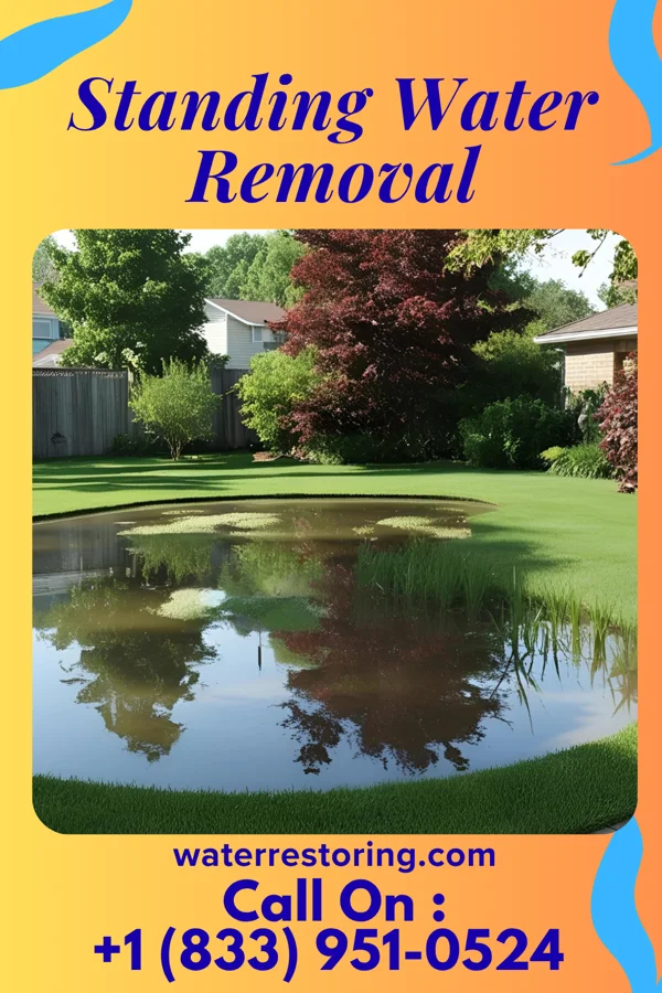 Standing Water Removal in Plymouth, MI
